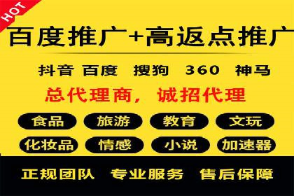 案例研究：竞价广告助力电商行业增长